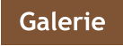 Galerie